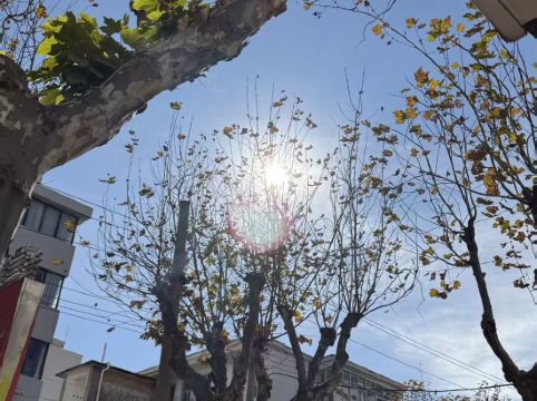 大理實力希爾頓酒店優惠