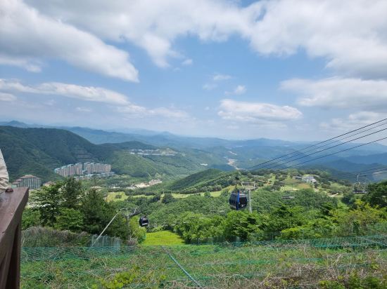 비발디 파크 쿠폰