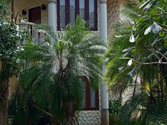 金海灘度假酒店（SHA Extra Plus）優惠