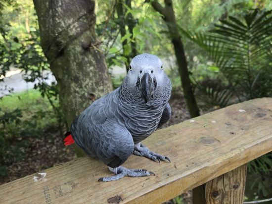 新竹國賓大飯店優惠