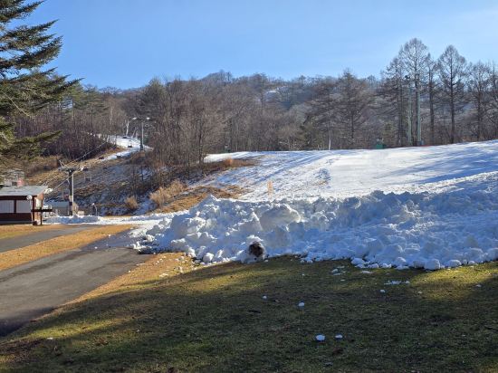 輕井澤西王子飯店優惠