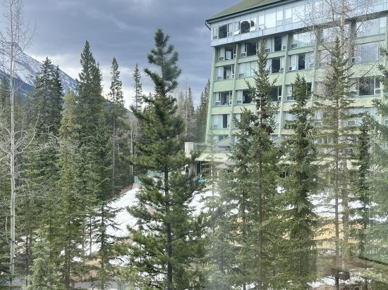 裏姆羅克度假酒店優惠