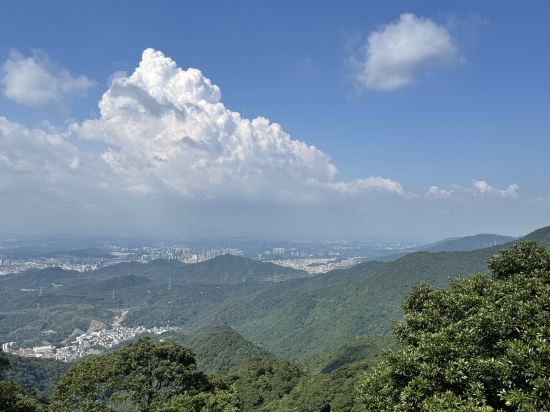 深圳北站王牌國際飯店優惠