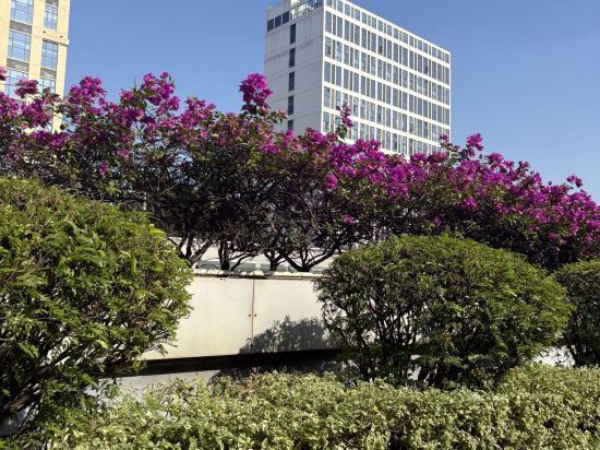 喜悦門酒店（佛山樂從傢俱城店）優惠