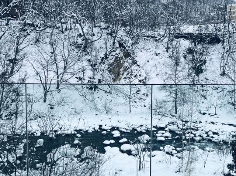 シャレーアイビー定山渓 クーポン