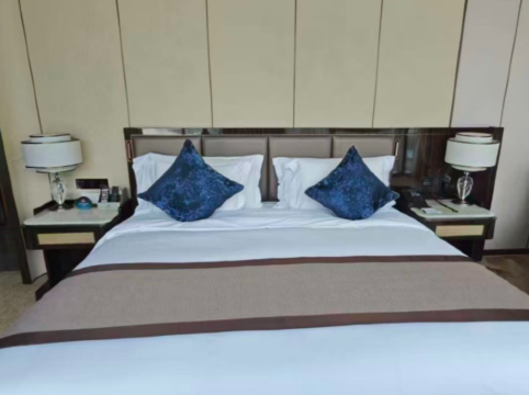 深圳安蒂婭美蘭酒店優惠