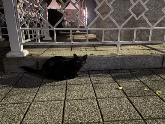 GNB飯店優惠