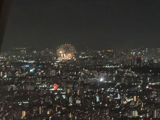 相模原皇冠山酒店優惠