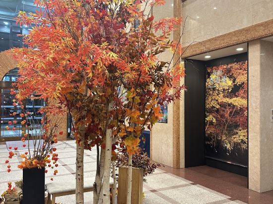 フォーポイントバイシェラトン函館 クーポン