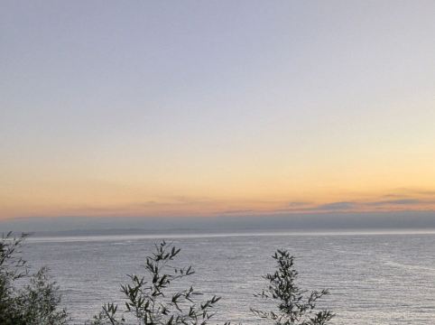 プリンス スマート イン 熱海 クーポン