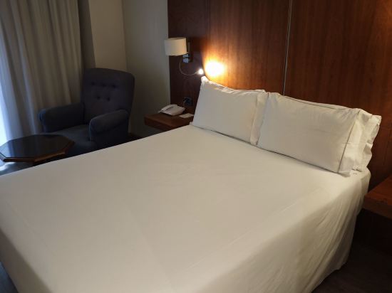 巴拉哈斯參議員酒店優惠