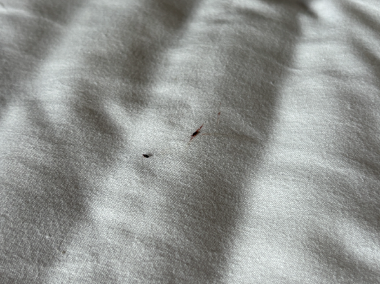 久住高原小屋飯店優惠