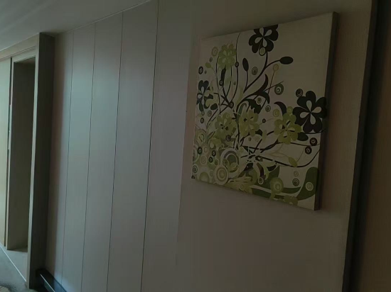 品冠藝術飯店（龍崗華南城店）優惠