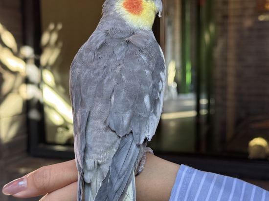 馨香雅苑四合院（北京天安門王府井店）優惠