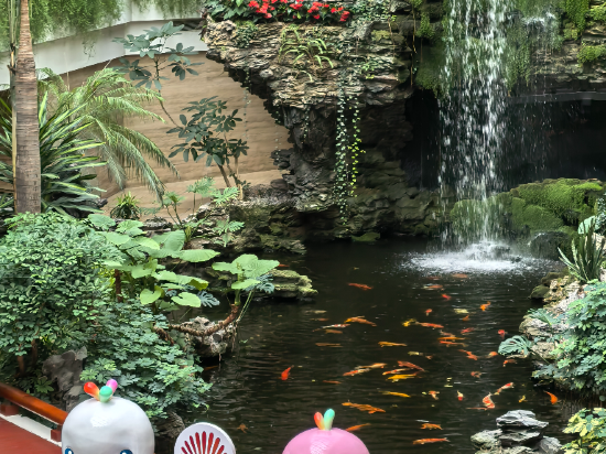 廣州白天鵝賓館優惠