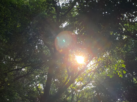 古格雅閣公寓（廣州萬達店）優惠