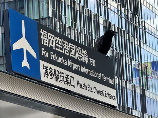 ホテルクリオコート博多 クーポン