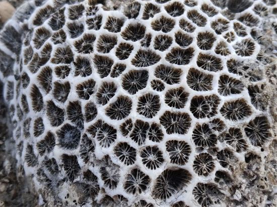 南部高爾夫球場度假飯店優惠