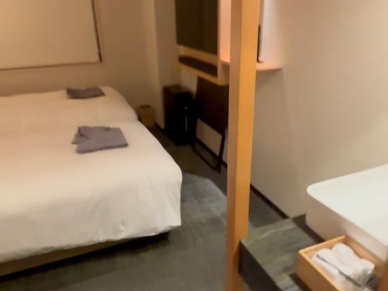 京都烏丸麗都大酒店優惠