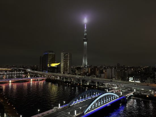 WING國際精選飯店-淺草駒形優惠