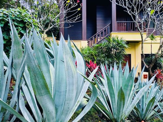 清邁四季度假酒店優惠