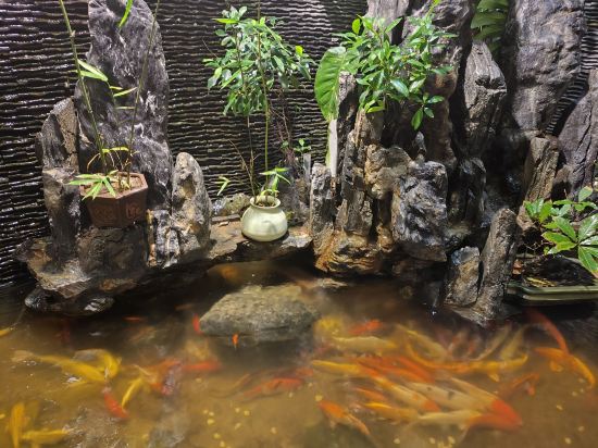 香水公寓和飯店優惠
