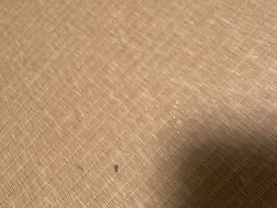 山荘天水 クーポン