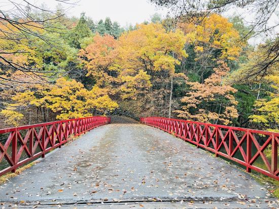 星野リゾート 青森屋 クーポン