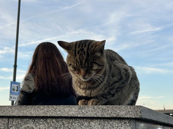 伊斯坦堡皇冠假日酒店優惠