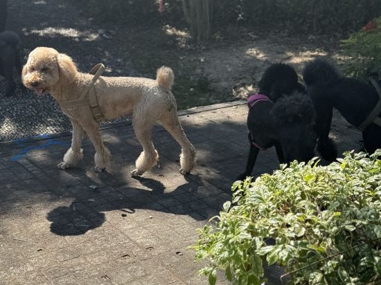 希爾頓倫敦肯辛頓飯店優惠
