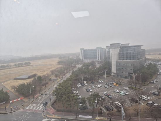 고고하우스 쿠폰