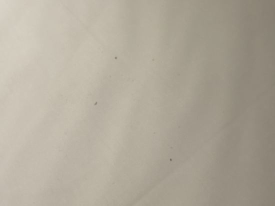 城市商旅（桃園車站館）優惠