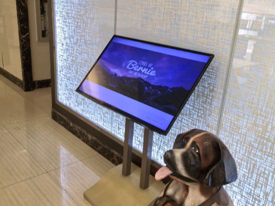 瑞士貝爾馬卡蒂瓦萊羅套房大飯店優惠