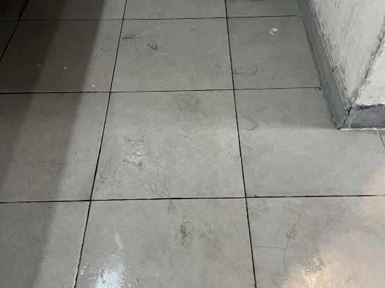 洛伊飯店 - 青年旅舍優惠