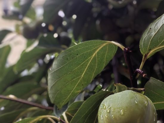 南京維元國際酒店優惠