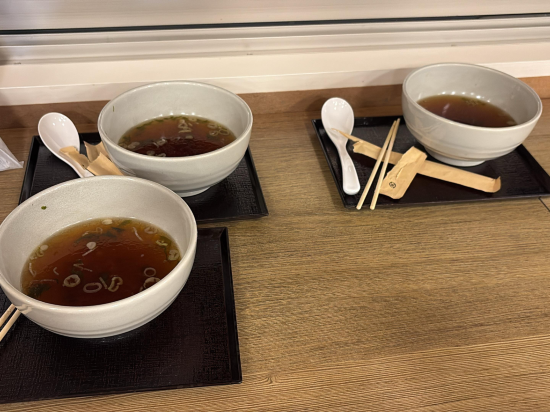 津市多米天然溫泉水療飯店優惠
