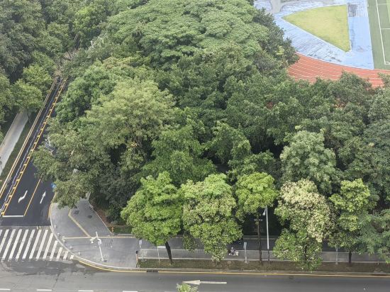 京基京寓飯店（深圳龍崗大運中心店）優惠