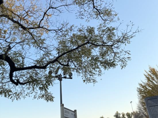 北京禮士智選假日飯店優惠