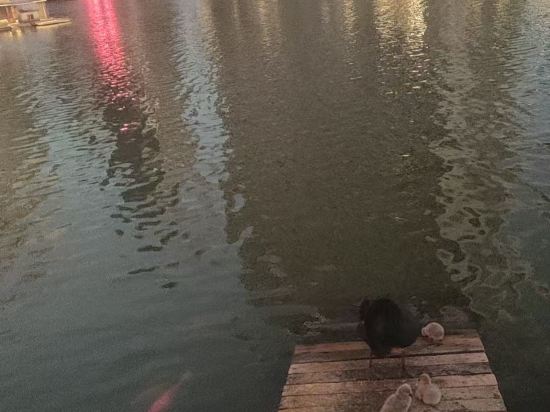 惠州翡翠山華美達酒店優惠