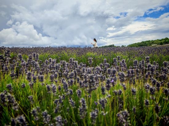 牛津市中心萬怡酒店優惠