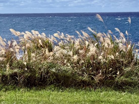黃金崎不老不死溫泉旅館優惠
