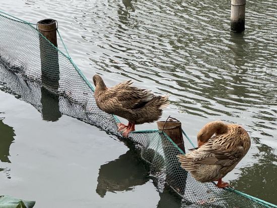 奇遇派飯店（杭州西湖河坊街店）優惠