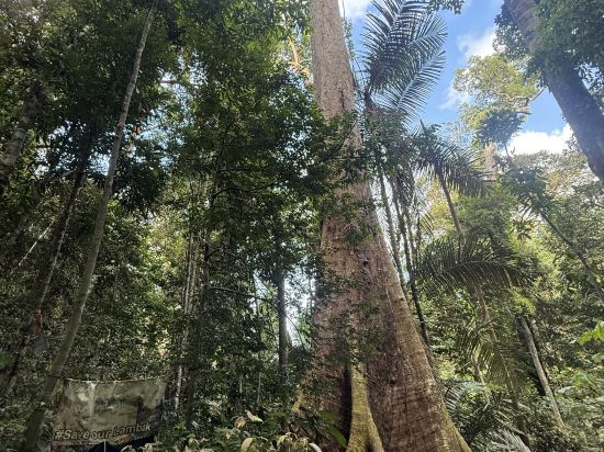 居鑾阿尼卡酒店優惠