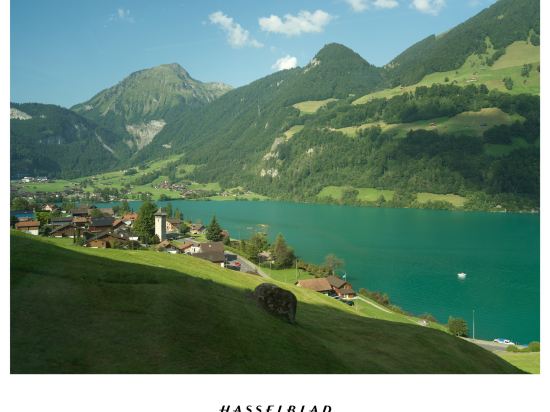 因特拉肯克雷布斯酒店優惠