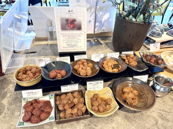 和歌山遊艇城大飯店優惠