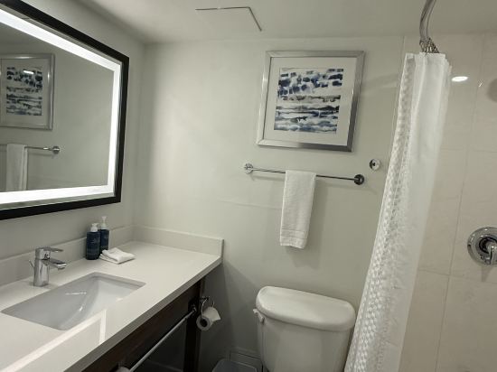 多倫多機場福朋喜來登酒店優惠