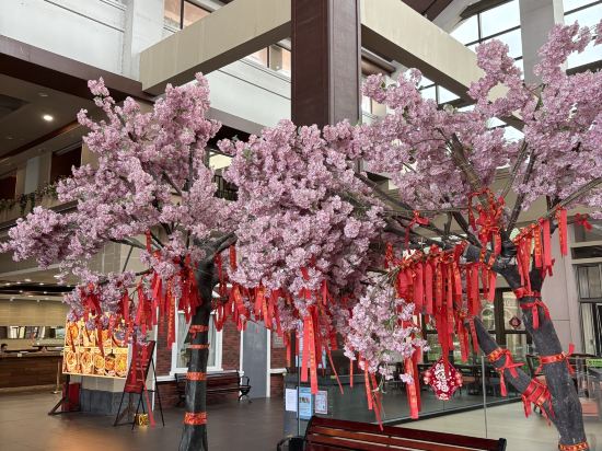 台山康橋温泉度假村優惠