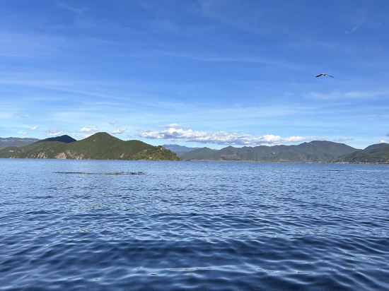 瀘沽湖青山青旅優惠