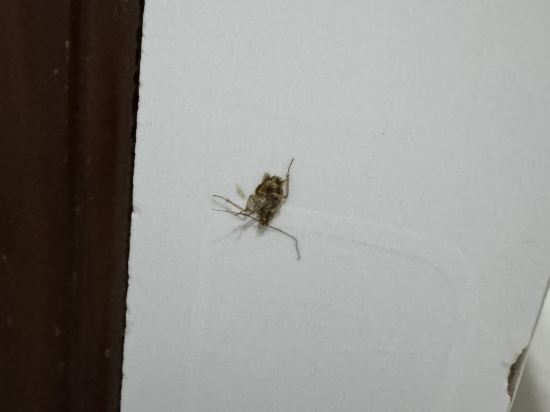 永安賓館優惠