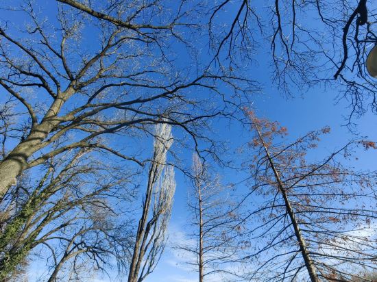 蒙特卡羅宮殿青年旅舍優惠